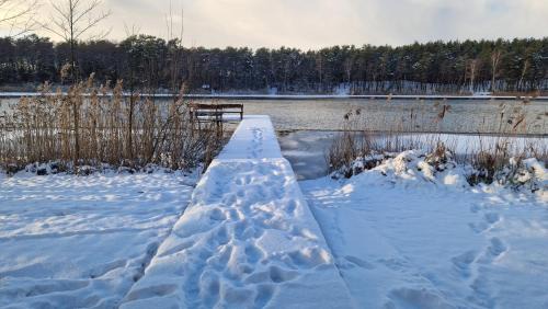 Grutas House | Glamping Druskininkai