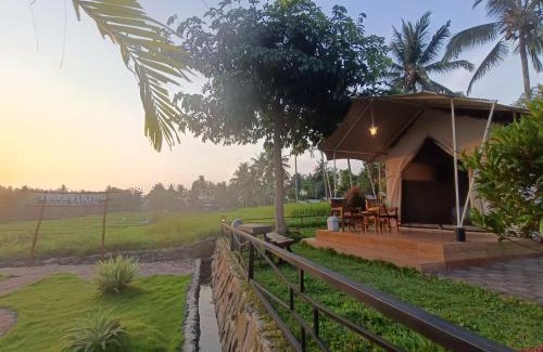 Banyuwangi House | Glamping