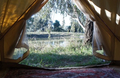Canowindra RV Rental | Glamping in the Olive Grove
