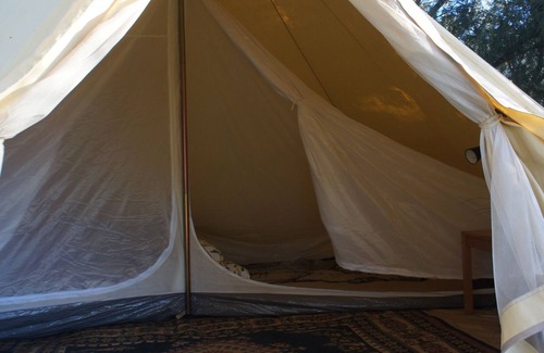 Canowindra RV Rental | Glamping in the Olive Grove