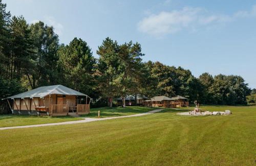 Zeewolde Hotel | Glamping lodge with Eco-Wellness