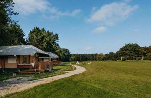Zeewolde Hotel | Glamping lodge with Eco-Wellness