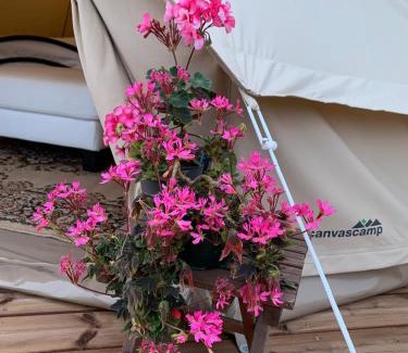 Kangasala Other | Glamping Ponsa
