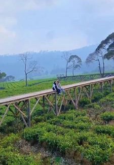 Pangalengan Other | Glamping umi