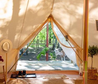 Visingo Other | Glamping Visingsö