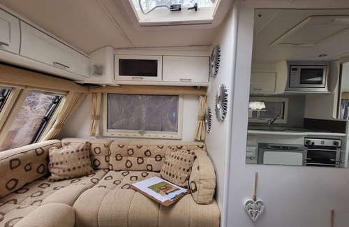 Wisbech Other | Glamping With Llamas