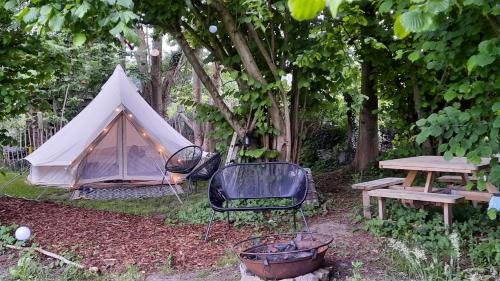 Sint-Antelinks Other | Glamping Zonnebloem - Back-to-Nature
