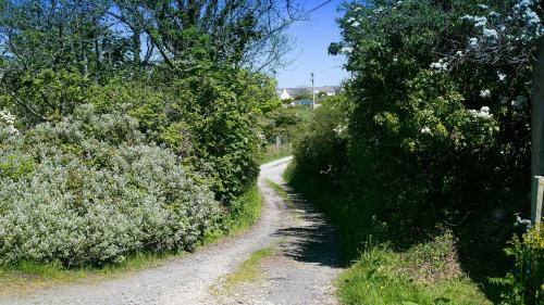 Rhydwyn House | Glan Gors Felin