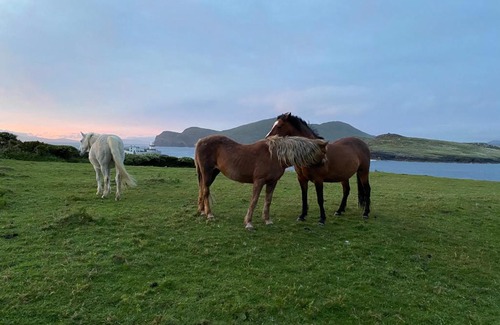Valentia Island House | Glanleam's Gardener's Cottage