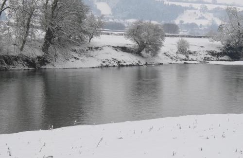 Westbrook Court Apartment | Glanwye