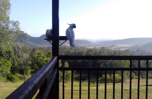 Glastonbury House | Glastonbury Country retreat - 20 mins from Gympie