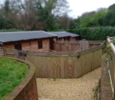 New Forest District Cabin | Glen Lodges