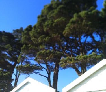 New Forest District Cabin | Glen Lodges