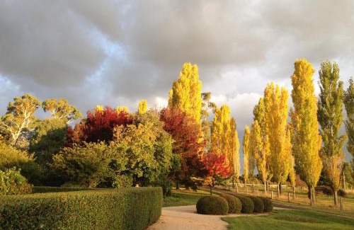 Glen Innes House | Glen Waverly Farmstay