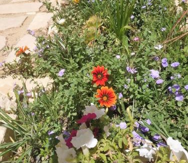 Mitzpe Ramon Apartment | Glezant