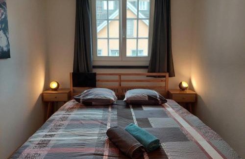St. Gallen Apartment | Global Citizen 5