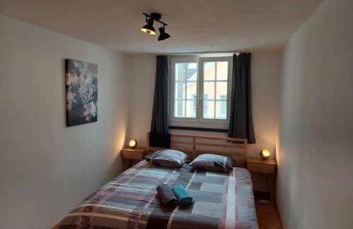 St. Gallen Apartment | Global Citizen 5