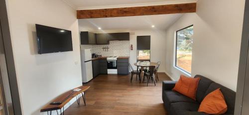 Seddon House | Glossy Black Cabin