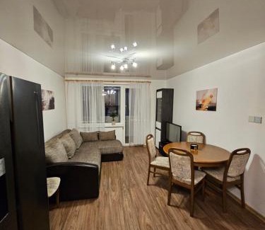 Silute Apartment | Gluosnių apartamentai