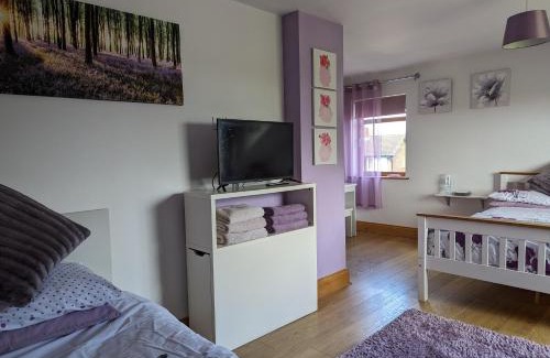 Belfast House | Glynvohr House