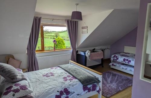 Belfast House | Glynvohr House