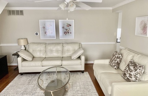 Fairfax House | GMU & Courthouse Suite