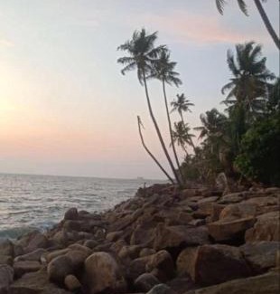 Kochi Bed & Breakfast | Gods own home stay