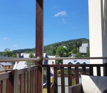 Krynica-Zdroj Apartment | Gold Apartments Your Holiday Home Rodzinny 11