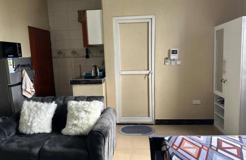 Dar es Salaam Apartment | Gold Loon