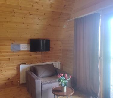 Kazbegi Apartment | Gold Star