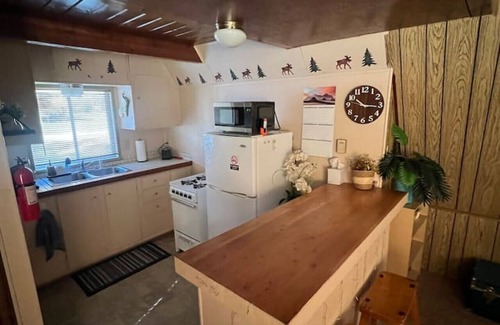 Salmon Cabin | Goldbug Hot Springs Getaway, Cozy Cabin Great for Hot Springs, Fishing & Hunting!