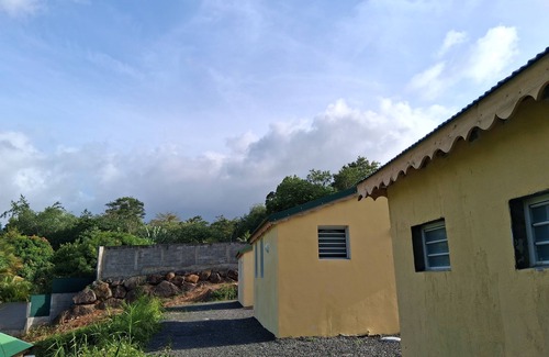 Sainte-Rose House | Golden apricot