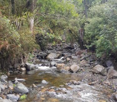 Takaka Other | Golden Bay Glamping