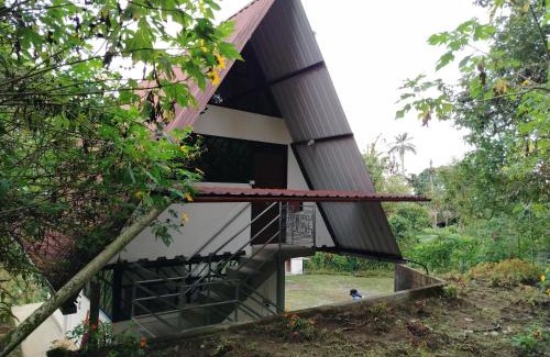 Mindo Ski Chalet | Golden Bird II