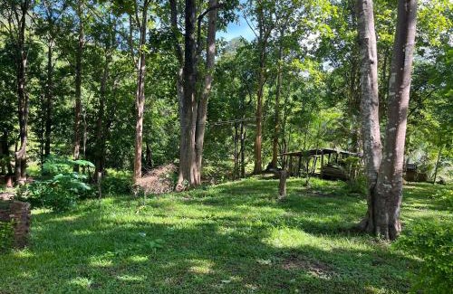 Mueang Pan House | Golden Cloud Farm