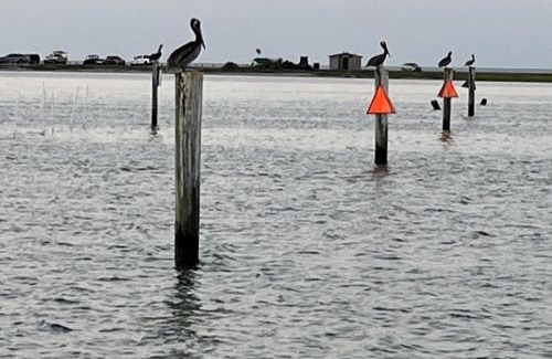 Rockport Villa | GOLDEN DREAMS ON ST. CHARLES BAY