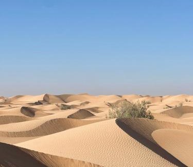 Bidiya Other | Golden dune Bedouin camp