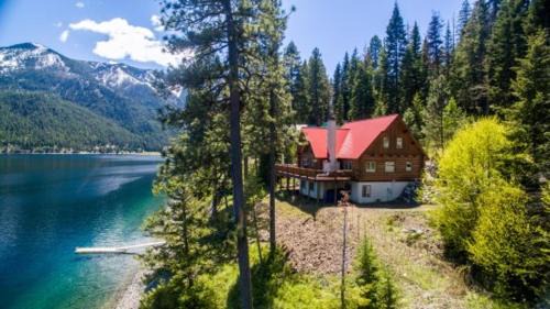 Enterprise House | Golden Saddle