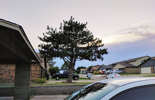 Lawton Apartment | Golden Sunflower's Apartment B1, nearby Fort Sill and highway 62