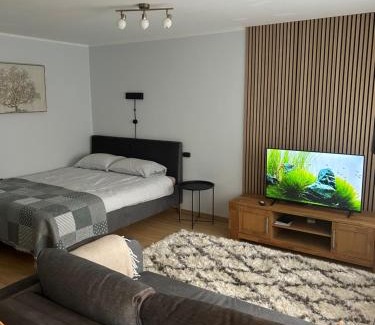Ventspils Apartment | GoldNest