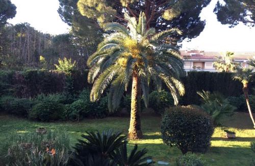 Golfe Juan Apartment | Golfe Juan, quiet apartment with pool, near the beach