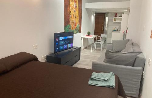 La Trinidad Apartment | Golondrinas de Malaga "Apartamentos con mucho Arte" y terraza solarium en coliving