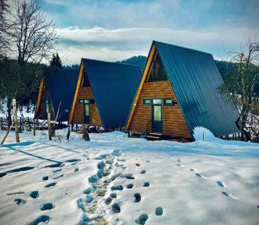 Khulo Apartment | Gomarduli Cabins