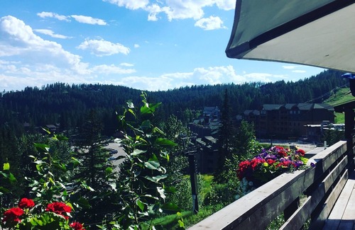 Whitefish Condo | Good Medicine Mountain Retreat