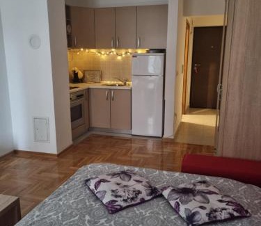 Alipasin Most Apartment | Good One