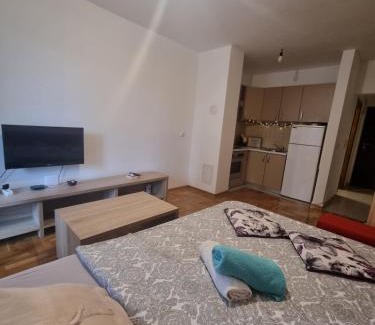 Alipasin Most Apartment | Good One