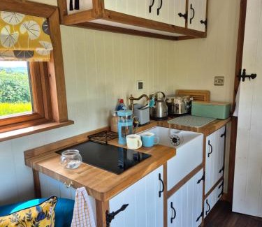 Whitland Apartment | Gorffws Y Cneifwr