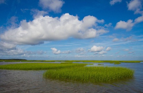Saint Helena Island House | Gorgeous Beachfront Town & Country Home on Saint Helena Sound