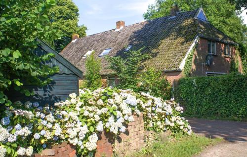 Diever House | Gorgeous Home In Diever With Wifi