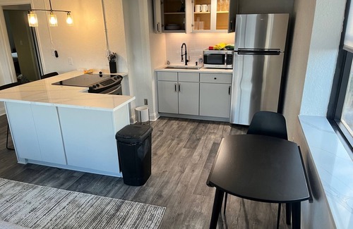 Downtown Jacksonville Condo | Gorgeous Modern Downtown Jacksonville Penthouse Close to Everything!